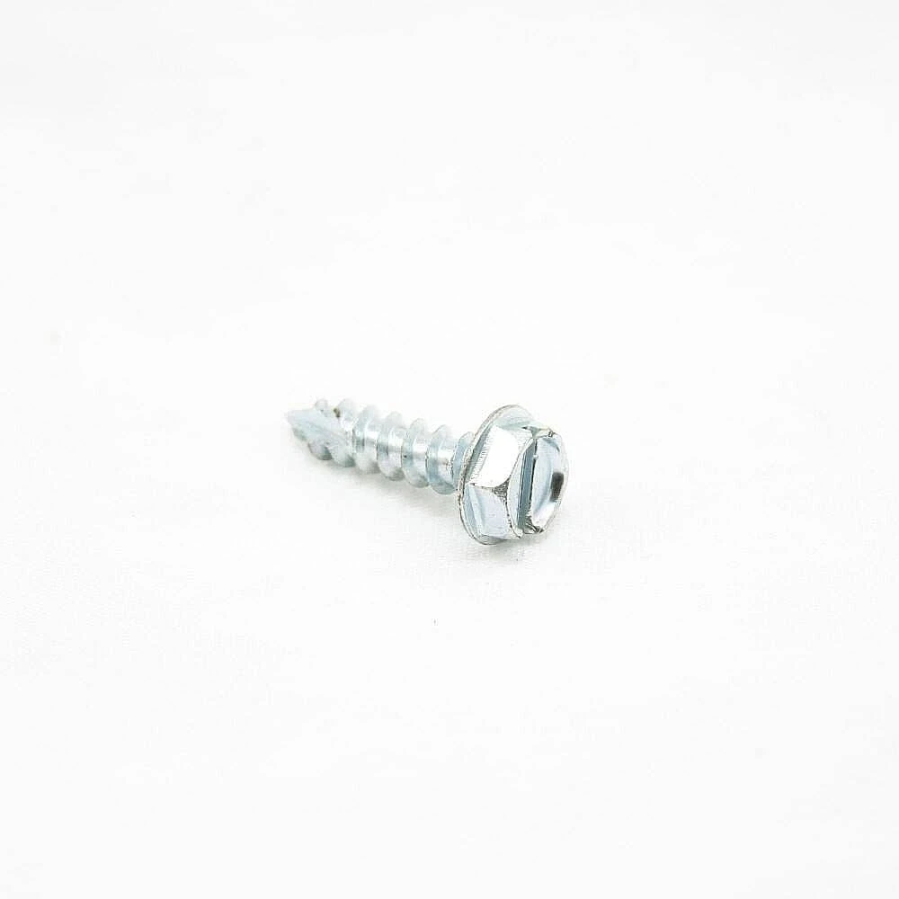 Wood Screw