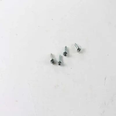Screw