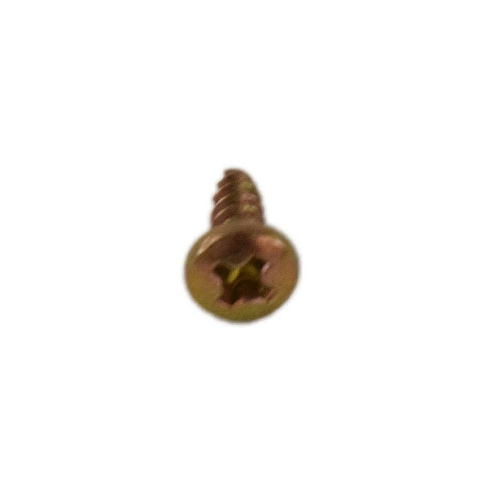Screw