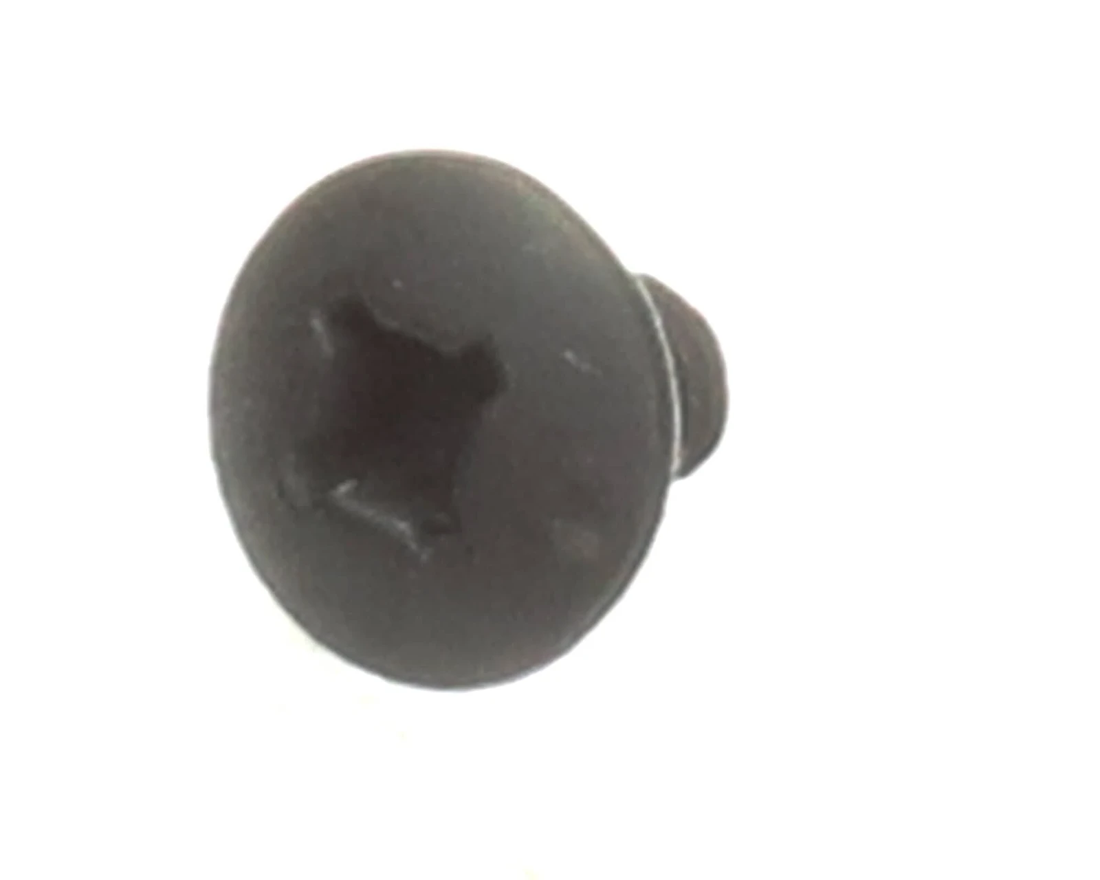 Wall Screw