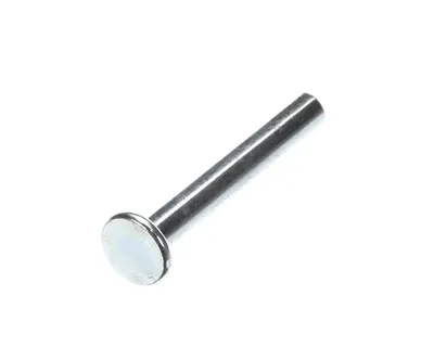 Rivet