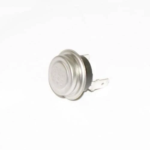 Ice Mold Thermostat