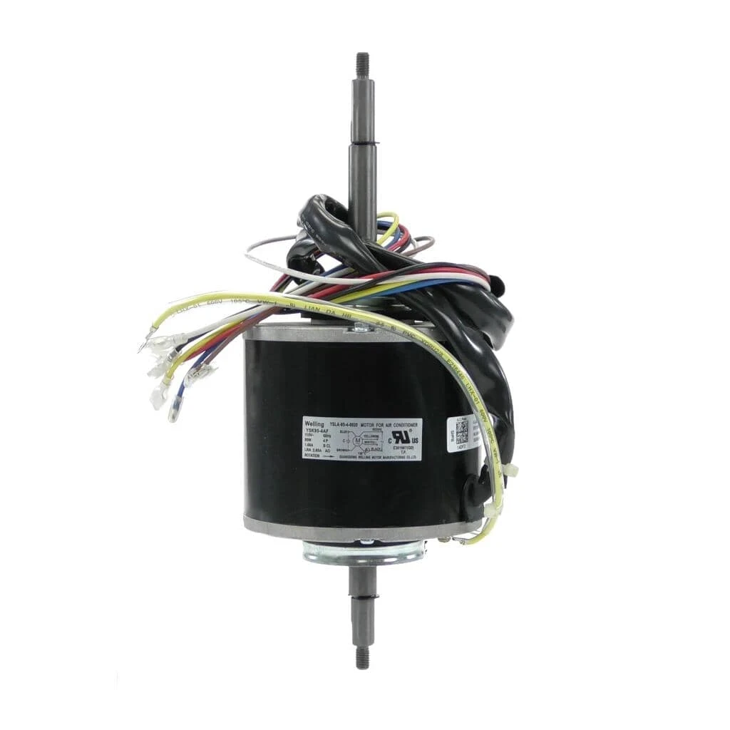Motor