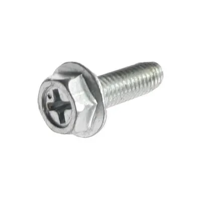 Screw