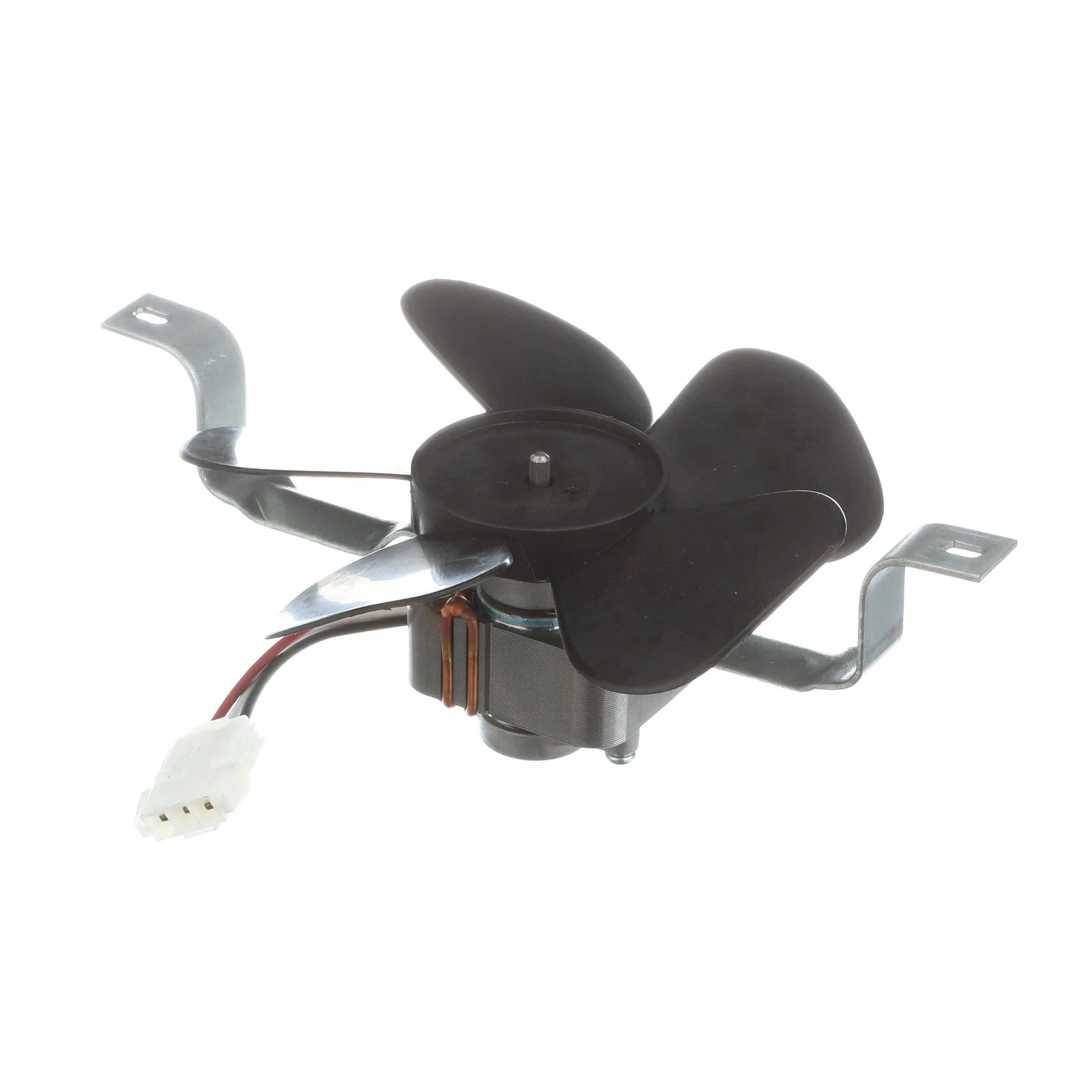 Assembly Motor