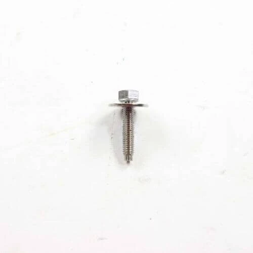 Screw