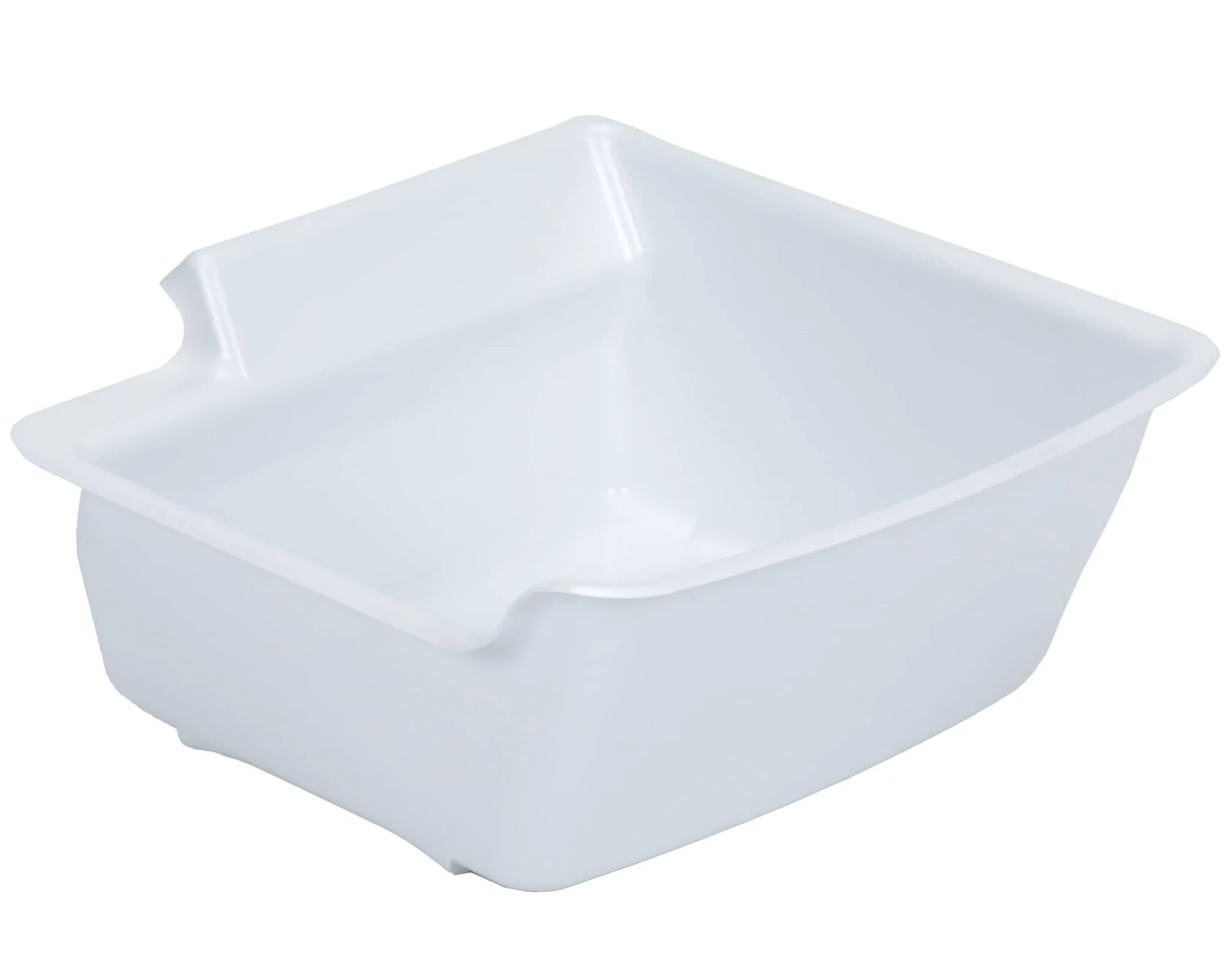 Ice Container