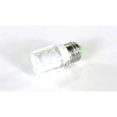 Light Bulb