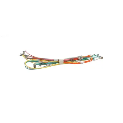 Harness Assembly
