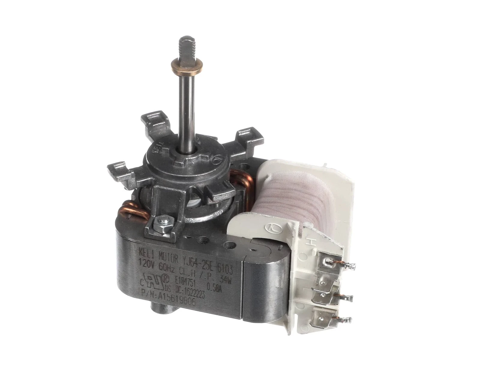 Motor Assembly