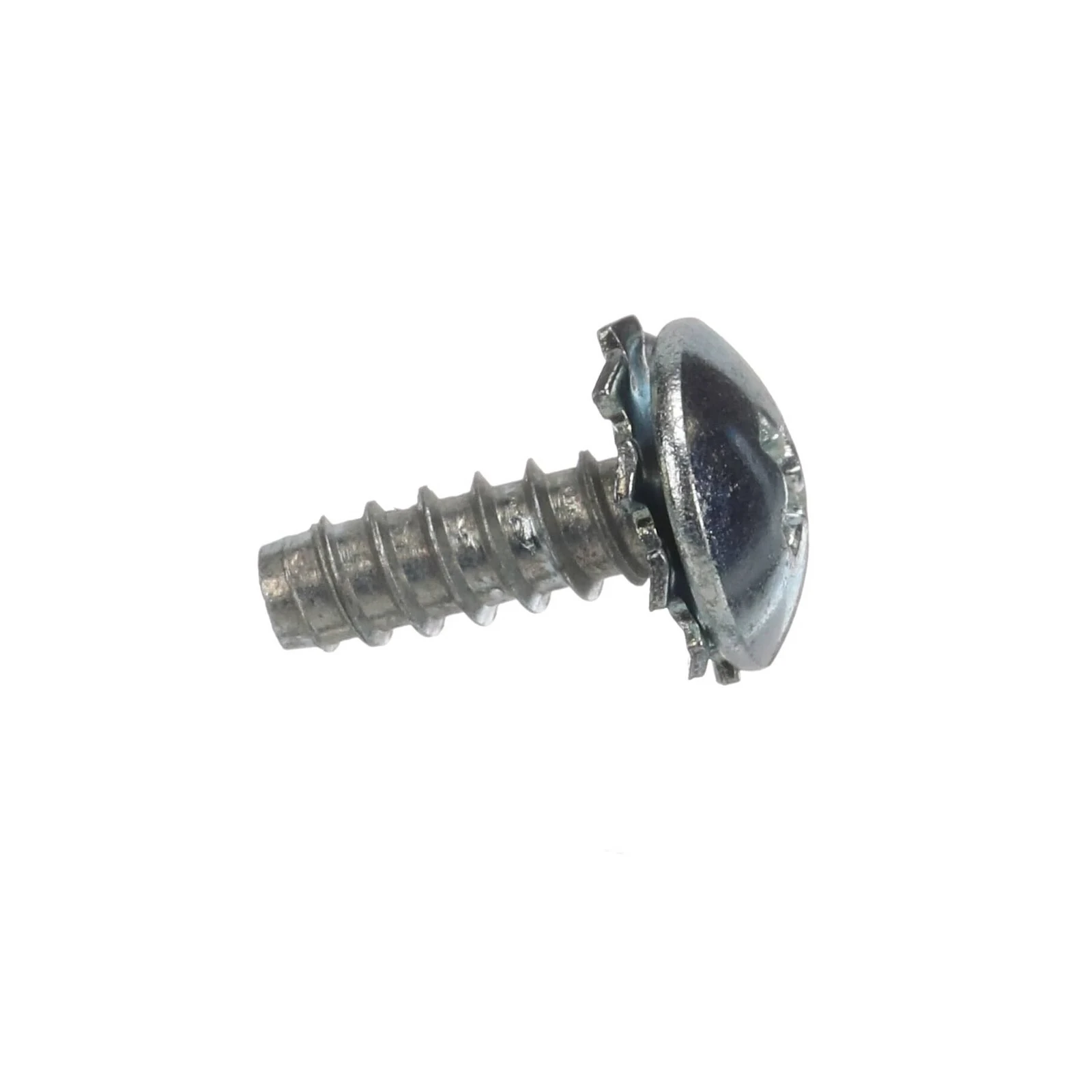 Screw