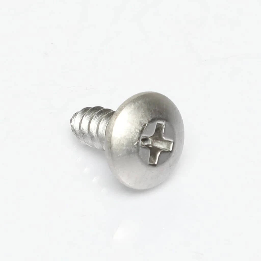 Screw, Door, Outter Skin Bottom
