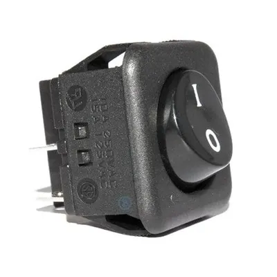 BBQ Rotisserie Switch