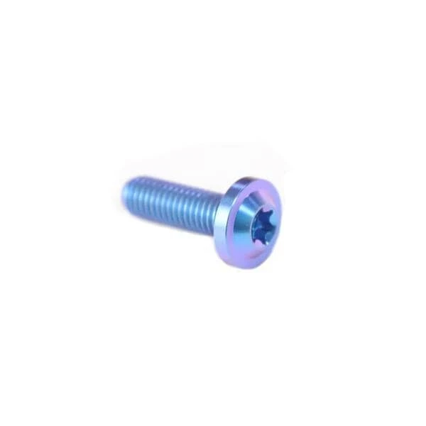 Mounting Screw M5x12 Mushroom Pack of 10